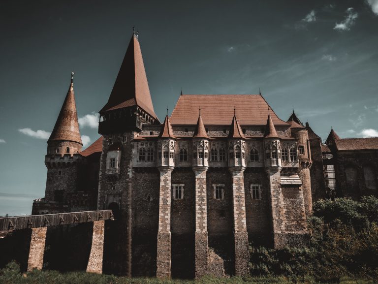 bojor-gabi-rYzS7wEVyNI-unsplash